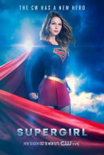 Kara Danvers / Supergirl / Bizarro / J'onn J'onzz / Kara Zor-El